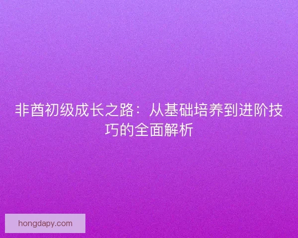 非酋初级成长之路：从基础培养到进阶技巧的全面解析